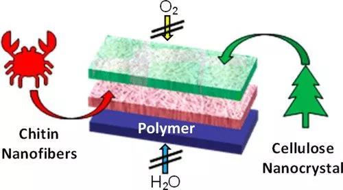 蟹壳和树纤维膜